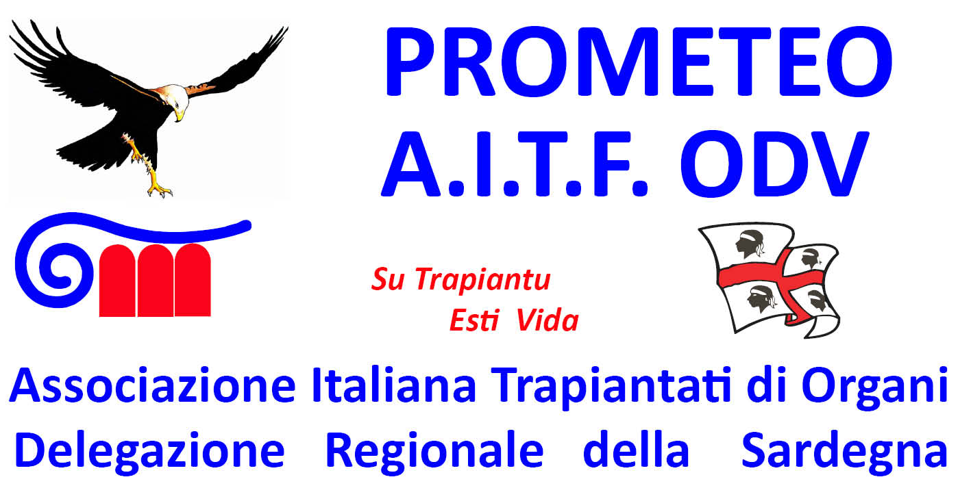 Sassari, la Prometeo Aitf Odv organizza la “Corri… donando per il Parco” post thumbnail image